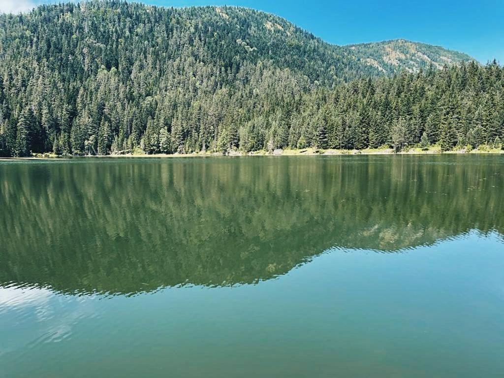 Zminica Lake House Žabljak Exterior foto